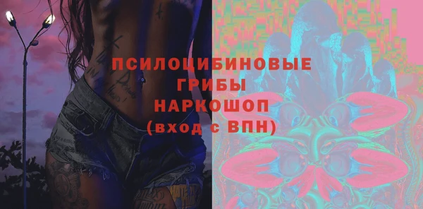 ГАЛЛЮЦИНОГЕННЫЕ ГРИБЫ Балахна