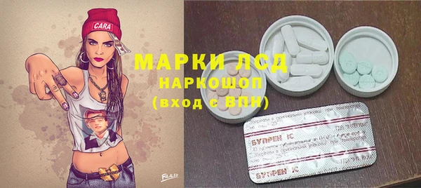 ГАЛЛЮЦИНОГЕННЫЕ ГРИБЫ Балахна