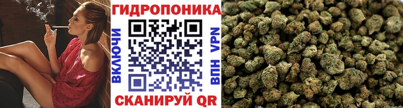 Каннабис MAZAR  Корсаков 